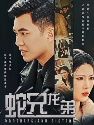 《蛇兄龙弟》剧情介绍