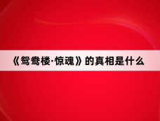 《鸳鸯楼·惊魂》的真相是什么