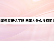 九重紫宋墨恢复记忆了吗 宋墨为什么没有前世记忆了