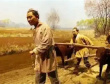 光武帝度田的历史背景
