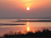 洛阳孟津黄河湿地简介