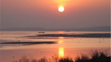 洛阳孟津黄河湿地简介