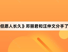 《但愿人长久》邓丽君和汪仲文分手了吗