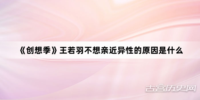 《创想季》王若羽不想亲近异性的原因是什么