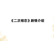 《二次相恋》剧情介绍