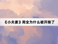 《小夫妻》周全为什么被开除了