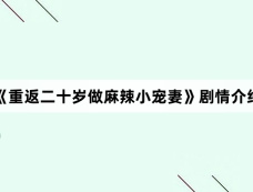 《重返二十岁做麻辣小宠妻》剧情介绍
