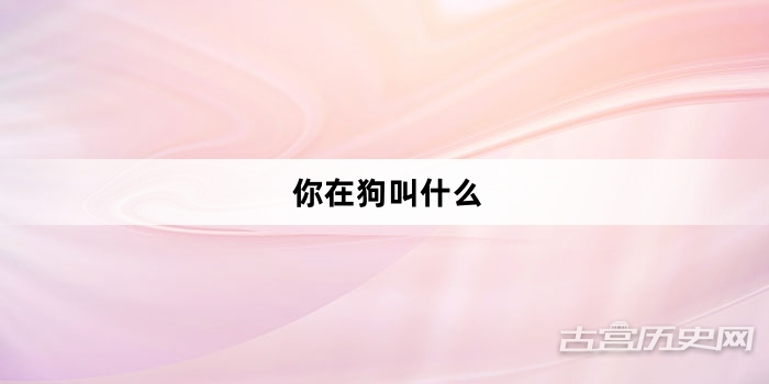 “你在狗叫什么”网络梗词解释