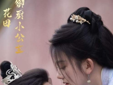 《花田御厨小公主》剧情介绍