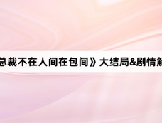 《总裁不在人间在包间》大结局&剧情解析