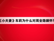 《小夫妻》车莉为什么对周全隐瞒怀孕