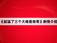 《起猛了三个大佬是我哥》剧情介绍