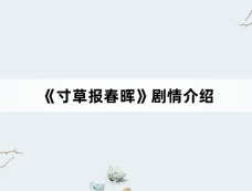 《寸草报春晖》剧情介绍