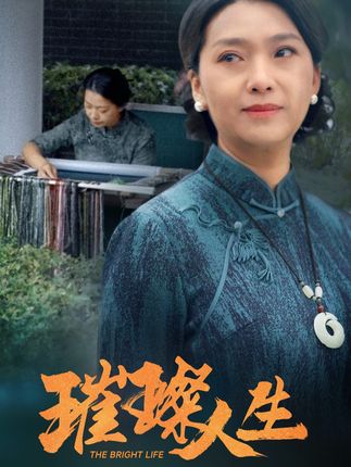 《璀璨人生》剧情介绍