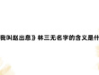 《我叫赵出息》林三无名字的含义是什么