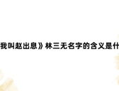 《我叫赵出息》林三无名字的含义是什么
