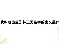 《我叫赵出息》林三无名字的含义是什么