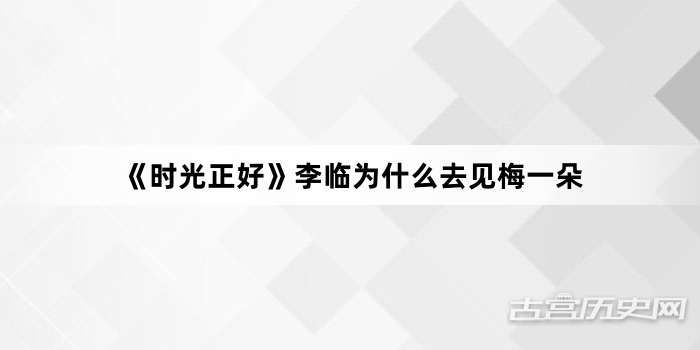 《时光正好》李临为什么去见梅一朵
