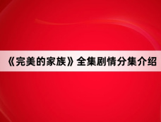 《完美的家族》全集剧情分集介绍