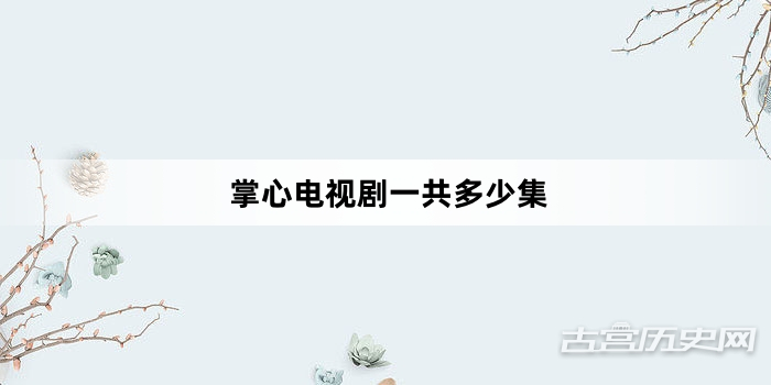掌心电视剧一共多少集