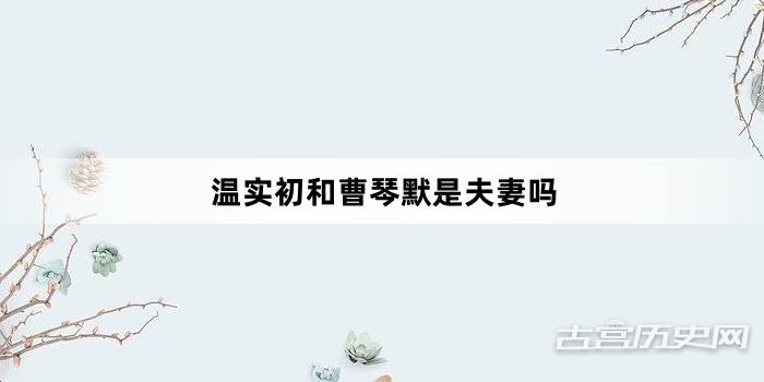 温实初和曹琴默是夫妻吗