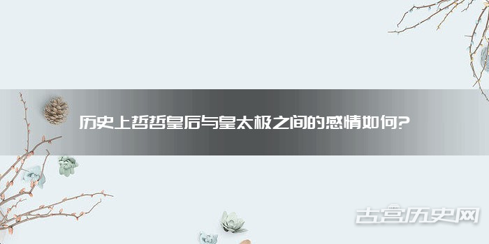 历史上哲哲皇后与皇太极之间的感情如何?