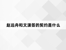 赵远舟和文潇签的契约是什么