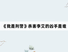 《我是刑警》杀害李艾的凶手是谁