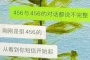 456是什么梗