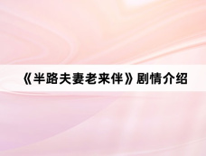 《半路夫妻老来伴》剧情介绍