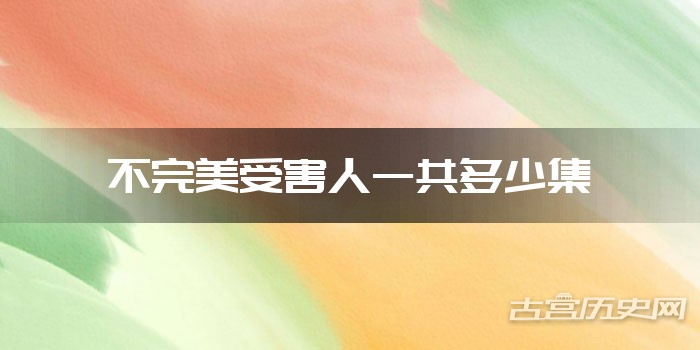 不完美受害人一共多少集