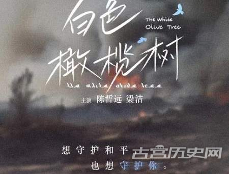 《白色橄榄树》萨辛结局