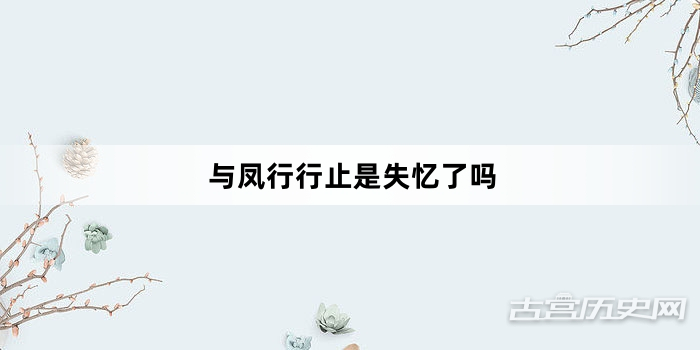 与凤行行止是失忆了吗