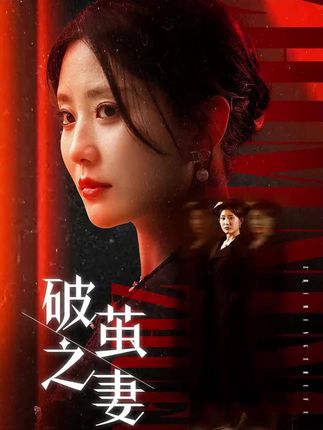 《破茧之妻&婚姻的救赎》剧情介绍