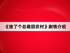 《捡了个总裁回农村》剧情介绍