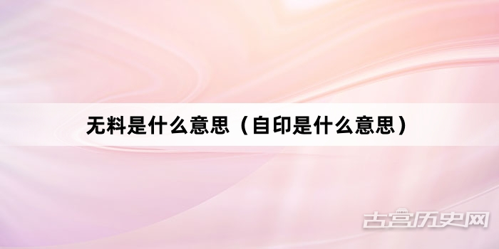 “无料是什么意思（自印是什么意思）”网络梗词解释