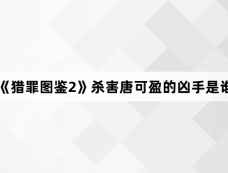 《猎罪图鉴2》杀害唐可盈的凶手是谁