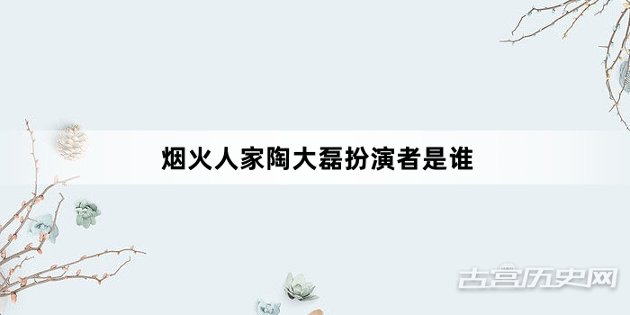 烟火人家陶大磊扮演者是谁