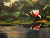 大暑时节老苏州是如何解暑的