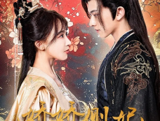 《娇娇侧妃升职记》剧情介绍