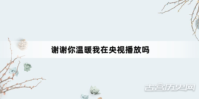 谢谢你温暖我在央视播放吗