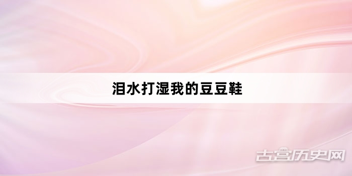 “泪水打湿我的豆豆鞋”网络梗词解释