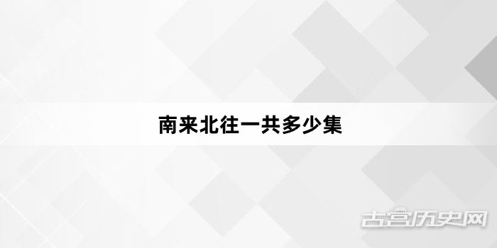 南来北往一共多少集