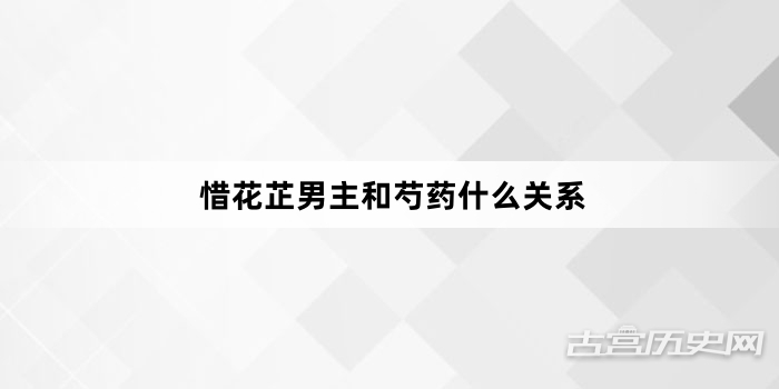 惜花芷男主和芍药什么关系