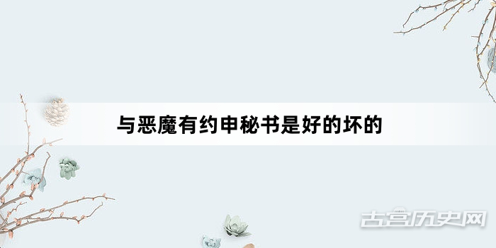 与恶魔有约申秘书是好的坏的