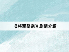 《将军娶亲》剧情介绍
