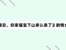 《顾总,你家福宝下山来认亲了》剧情介绍