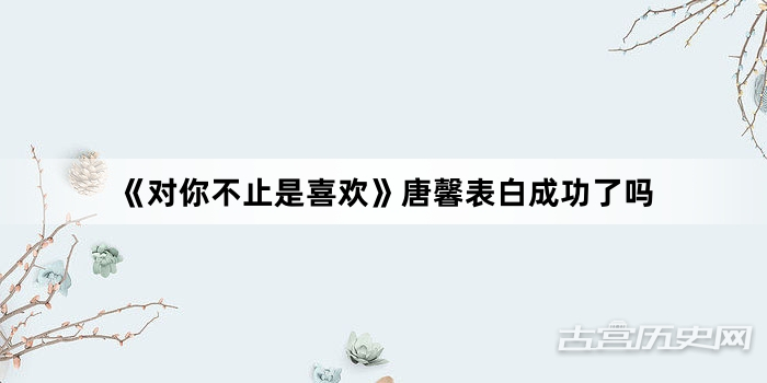 《对你不止是喜欢》唐馨表白成功了吗
