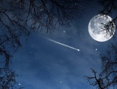 李白最浪漫的一首诗