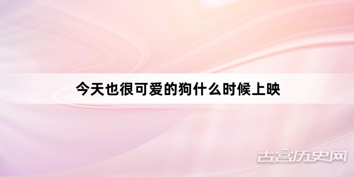 今天也很可爱的狗什么时候上映